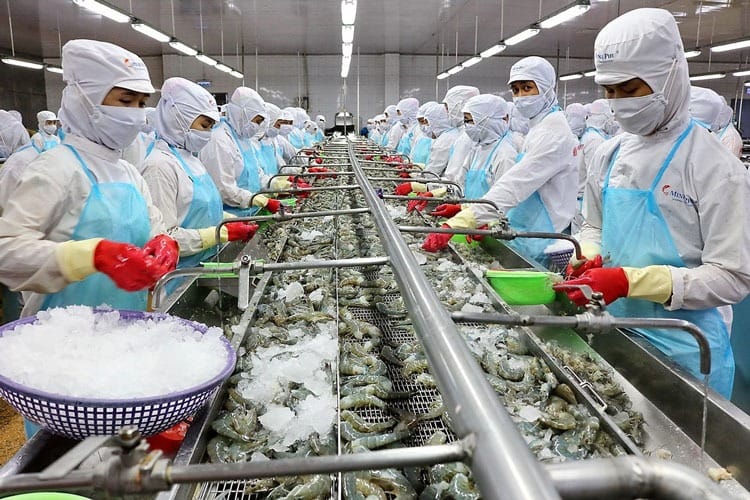 Rào cản kỹ thuật và tiêu chuẩn ngày càng cao