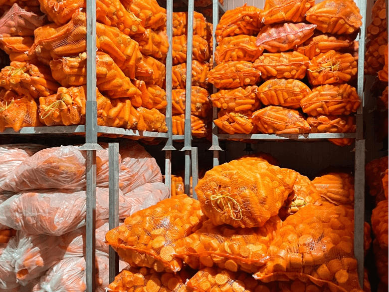 Premium Vietnam Carrot Export | Global Food Safety Standard | VIOT